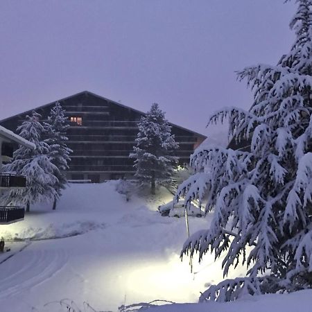 Auron Montain View Apartment Bagian luar foto